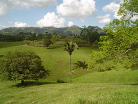 20060728114229-fotocr1.3.jpg